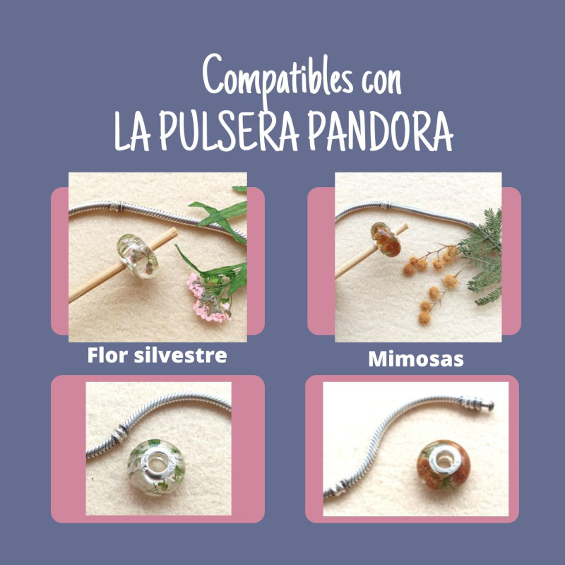 Charm pulsera pandora